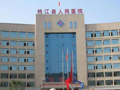 桃江中标.jpg
